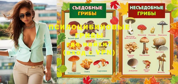 PSILOCYBIN Балахна