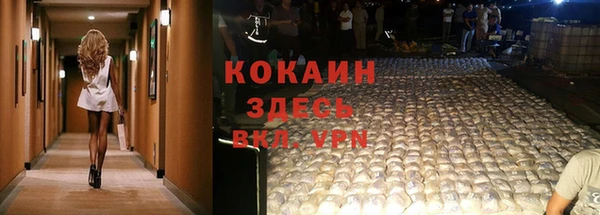 PSILOCYBIN Балахна