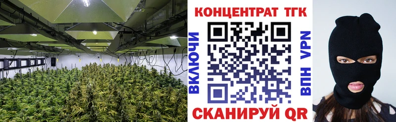 ТГК Wax  Татарск 